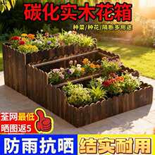 ����ľ���䌍ľ�ř��L���νM�ϻ���Nֲ��ͥԺ�̨�N������⻨��