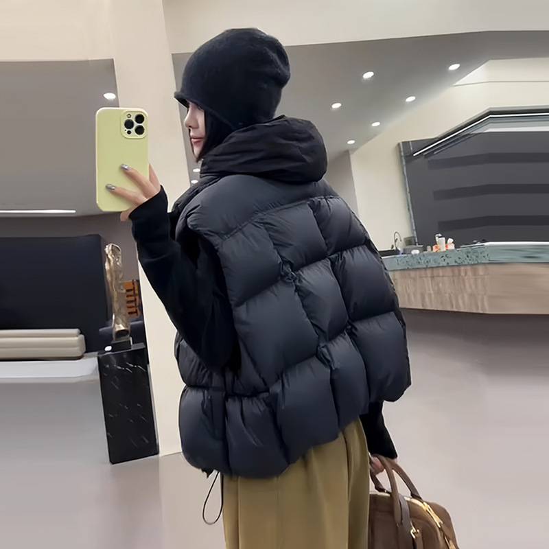 White Duck down Vest for Women Autumn and Winter 2025 New High-End Small Outer Vest down Jacket