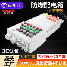 防爆配电箱 防爆照明动力配电箱防爆控制电箱铝合金BXMD防爆箱