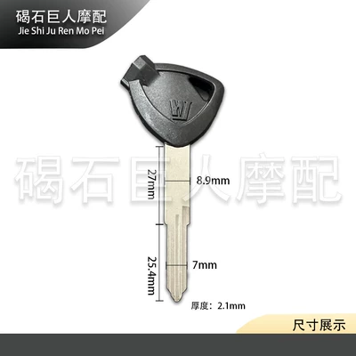 Motorcycle Key: keys, Neptune USR, HJ