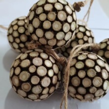 �¿�ľ��ޤƬ��؈�� ��ҧ؈����� ����ë�� ĥ�����XĬ�J���|/