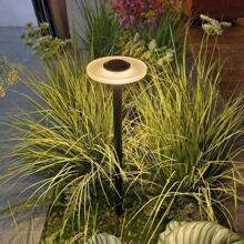 ���^ͥԺ�����s��ƺ�������ˮ�e�����@�ز�ݵ؟��Ƶ����޷Շ���