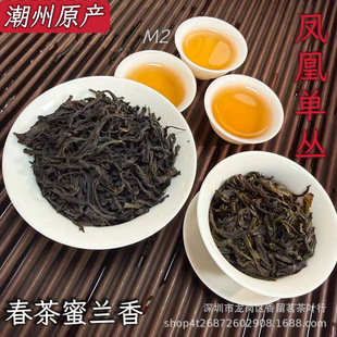 �²��P�ˆ΅��������~ɢ�b�F؛���l�Θ��������m���ͶY���b�S��