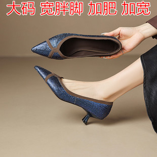 ǰ�Ƽӌ���aŮЬ41��43�����_�����߸�Ь���|�߼������_2026�¿�