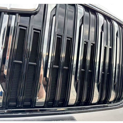 and lint-proof exterior modification — Automobile anti-insect net