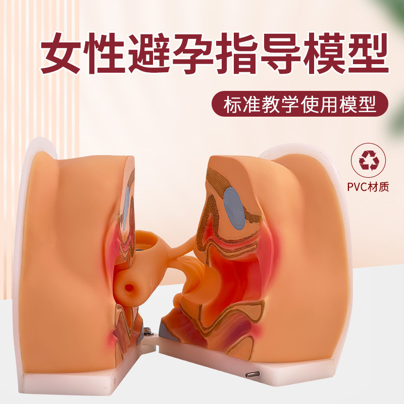 Ů����ֳ��ģ�� �����ӹ��������ѳ� ���Ƽ����н�ѧѵ�� 1��1