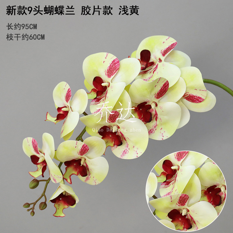 9-head film waterproof phalaenopsis light yellow "thickened"