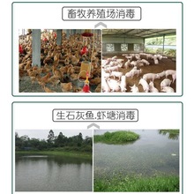 生石灰粉斤鱼塘净水刷树养殖吸潮干燥剂土壤白灰粉直销
