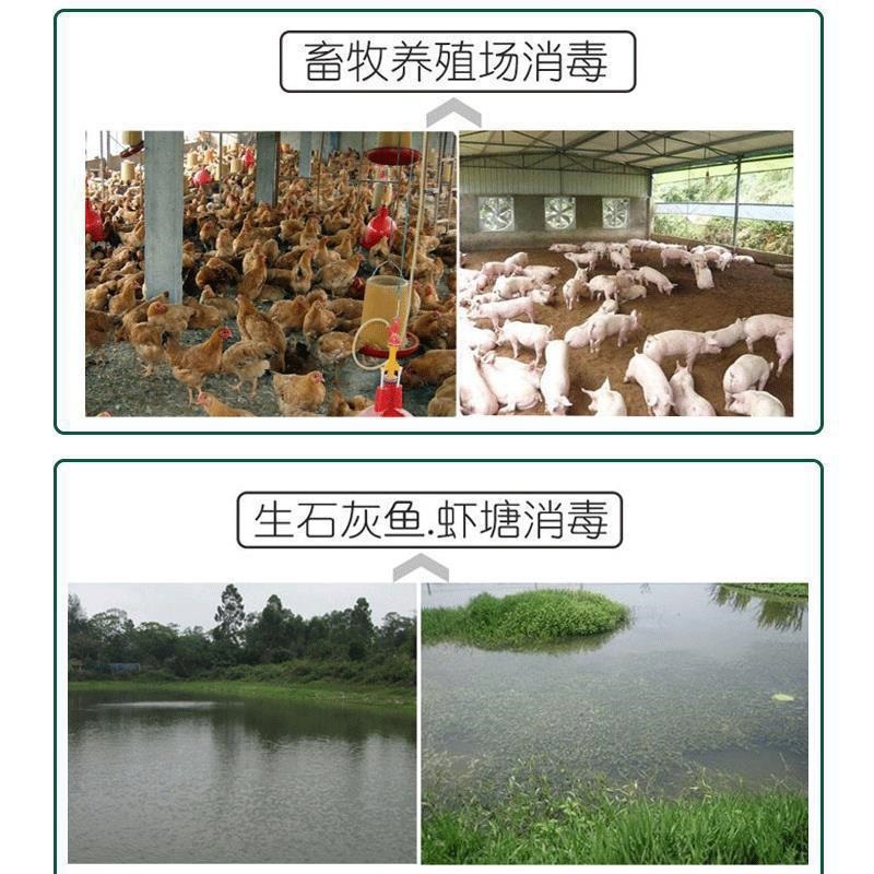 生石灰粉斤鱼塘净水刷树养殖吸潮干燥剂土壤白灰粉直销