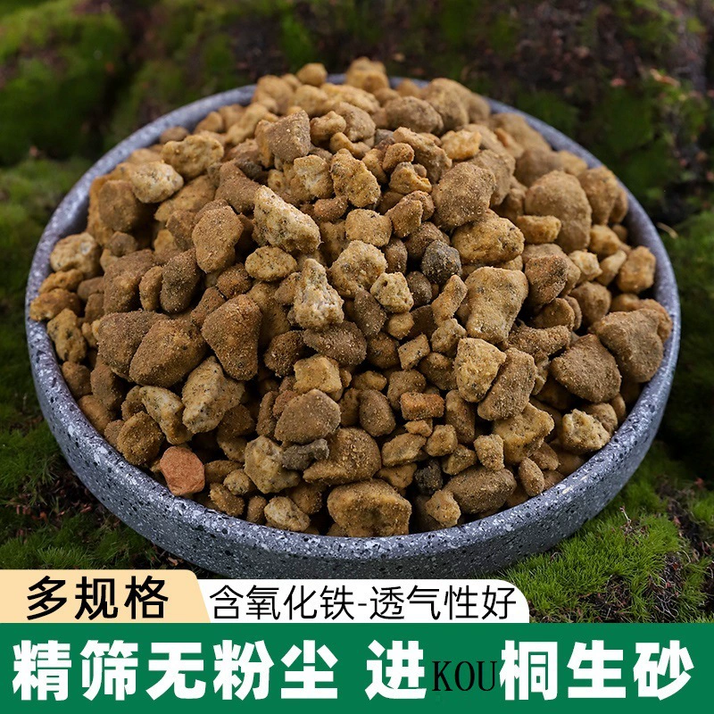 Киргенистый песок импортировал вулканические породы и суккуленты для посадки грунта