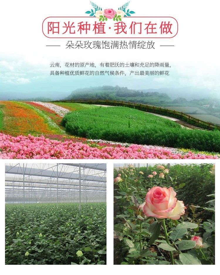 d0a9f9b0-b117-4fd4-8fd9-5741b0ca3bbb.jpe