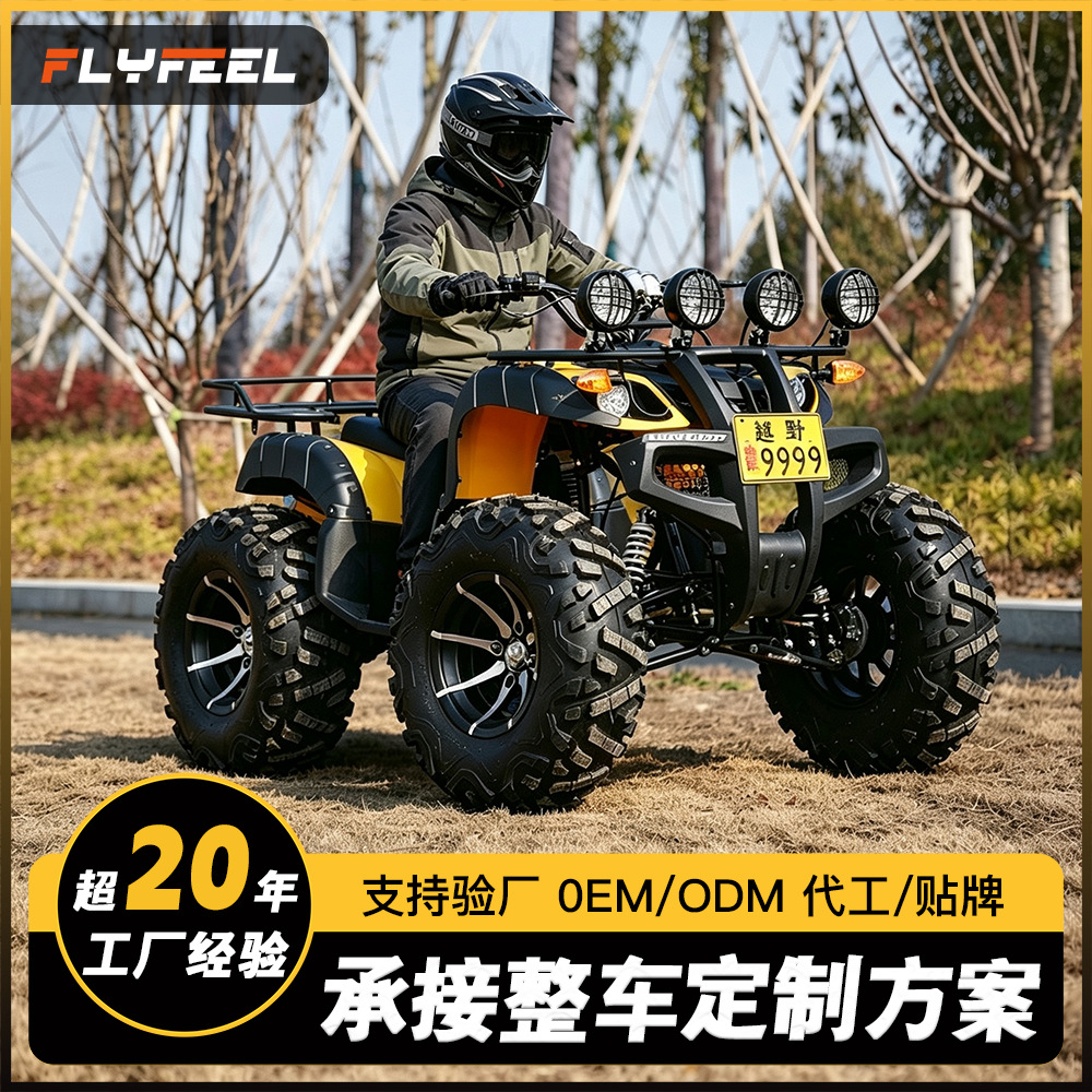 Cuatrimoto Todoterreno 4x4 250cc de Hierro y Plástico con Inicio Eléctrico para Montaña