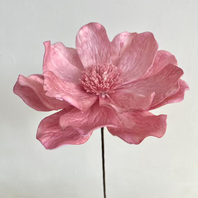 Lirio grande de hierba rosa de 15 - 16 cm de diámetro y 60 cm de largo