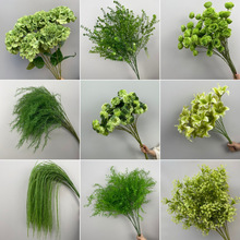 婚庆花艺绿植凤尾叶子尤加利金钱草布置绿色花材塑料婚礼道具