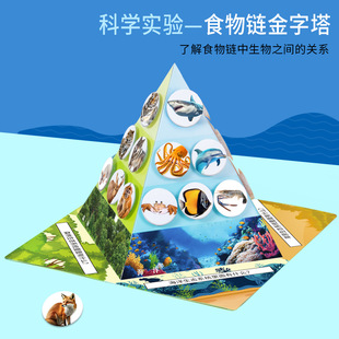 �ƌW���ʳ��朽�����diy�Ƽ�С���� ��ͯ�ֹ��W��������ϰ����b