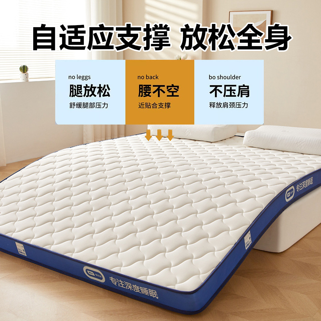 Colchón de látex tridimensional de seda de leche, individual, para dormitorio de estudiantes, uso doméstico, tatami grueso, cojín suave, venta al por mayor, personalización image 4