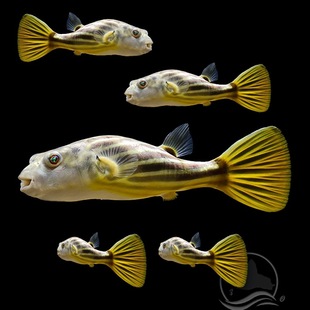 ���R���^�~�˹��~������~�Ꭷ�~��ˮͧ���w�^�p�~����W�t�~�ʹ�