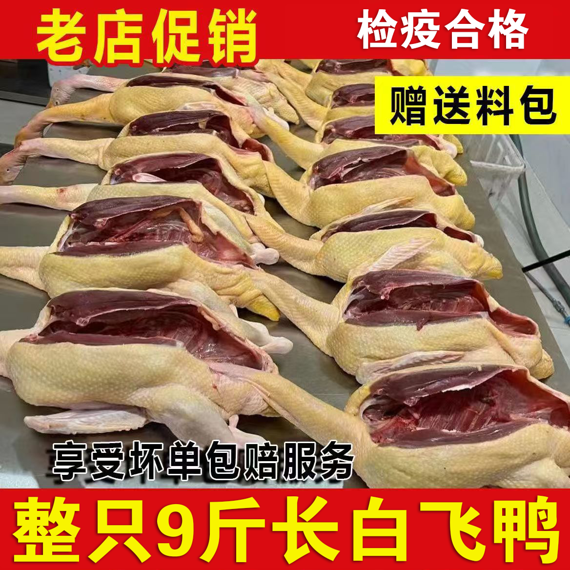 三年老鸭现杀鸭子 麻鸭农家水鸭土鸭母 鸭肉 生态鸭散养放养中国
