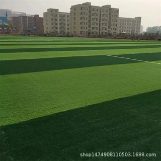 定制户外休闲人造草坪 学校操场仿真草坪 运动场幼儿园人造草平