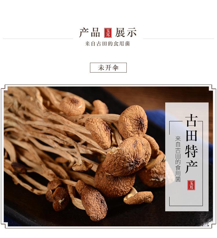 玉耳內(nèi)頁(yè)1.1_09