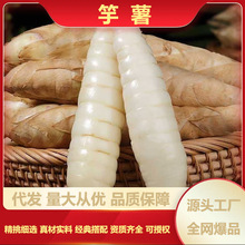 �����������r�r�Ҷ����푪�����F�����������������Ҝ�ʳ�Ĵ��l