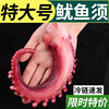 fresh Squid octopus Trade price Full container Deep sea Aquatic products Seafood Hot pot barbecue Ingredients Manufactor