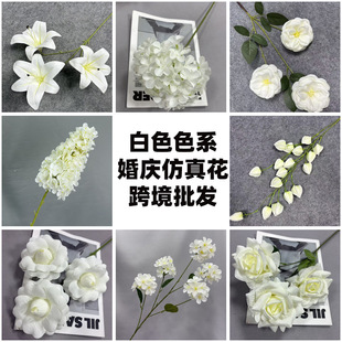 �����ɫɢ����ɫ�������l�Y�ò����b��Ӽһ�c�zӰ���ߔ[��
