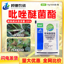 ͷם25%ѾS˪ùС׷۲Prș