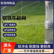 加粗热镀锌铁丝网围栏牛栏网护栏网钢丝网草原隔离网拦牛羊养殖网