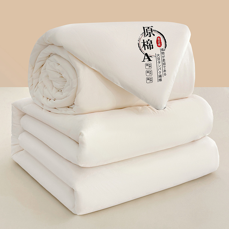 Autumn and Winter Thickened Soybean Quilt Winter 5kg Warm Washed Cotton Soybean Fiber Winter Quilt Dormitory Quilt Core Wholesale