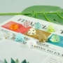 生物手工夜光微缩摆件