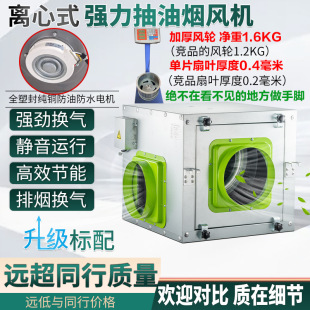 �����͟��C�������韟�C�r��������L�����L�ȓQ���Ȳ����