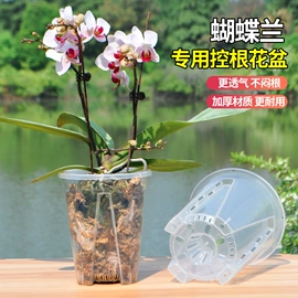 花盆容器;园艺工具;种球