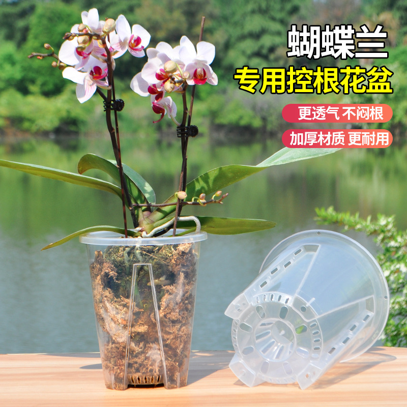 Special Flower Pot for Phalaenopsis Air Column Transparent Castle Peak Basin Extra Large Diameter Plastic Round Table Top High Flower Pot