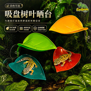 ����ˮ���쾰�ӏ��������P���~�ؽ��،m���������̨�b��~��Ϣ
