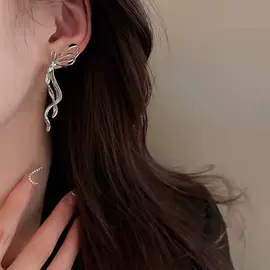 项链;耳钉;耳环