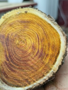 �S��������Sɫ����ִ��[����ľ�ϲ�����P���S���������ְѼ�