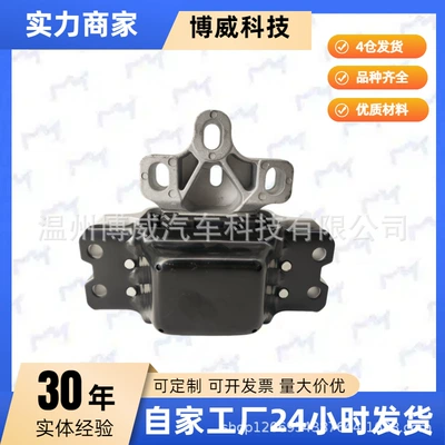 Suitable for Passat Other walking systems