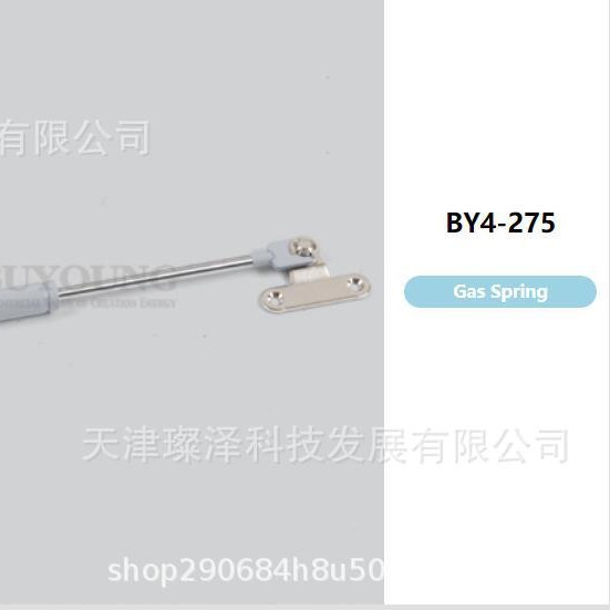 BUYOUNG         C1K3600256 300N    气弹簧   合页