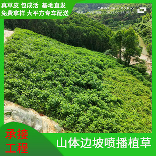 Guest Soil Spray Planting Grass Hanging Network Greening Protection Network Mountain Slope Hydropower Engineering Slope Greening Spray Planting