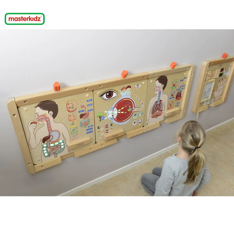 Бэйсд Toy Montessori, популярные научные обучающие пособия, раннее образование