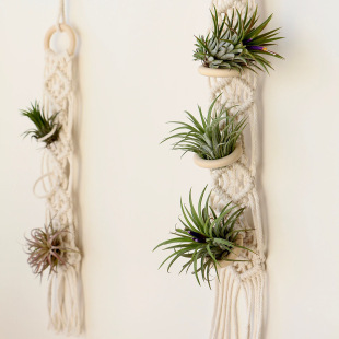 Simple air pineapple plant flower rack tapestry hand-woven hanging flower basket indoor green plant potted plant decoration