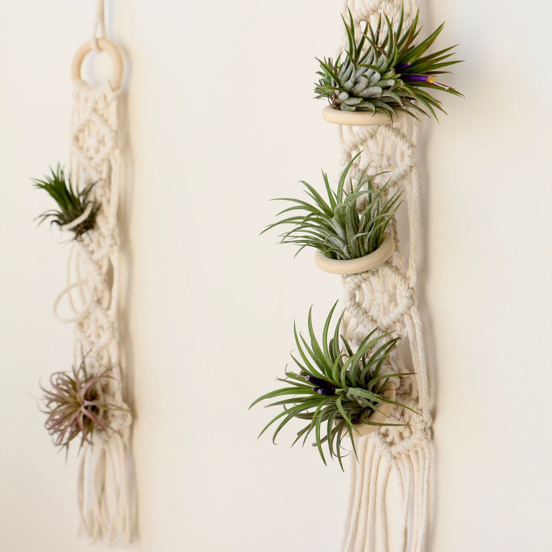 Simple air pineapple plant flower rack tapestry hand-woven hanging flower basket indoor green plant potted plant decoration Simple air pineapple plant flower rack tapestry hand-woven hanging flower basket indoor green plant potted plant decoration