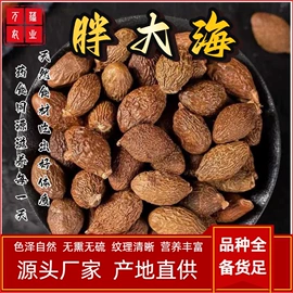 其他药食同源;灵芝;茯苓