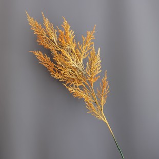 ֦PβFڡT ҾӘӰgƵb}Qh