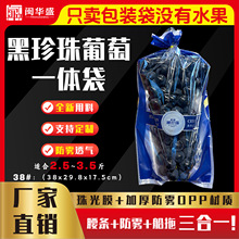 厂家批发夏黑通用妮娜皇后葡萄黑提拉丝塑料船托袋透气外包礼品袋