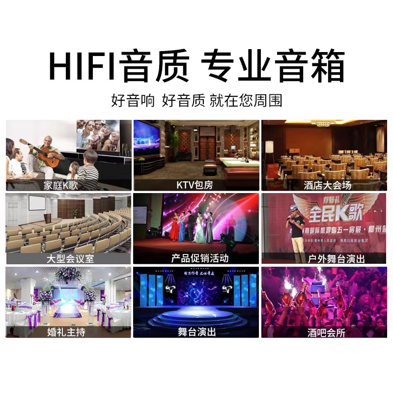 Venta al por mayor personalizado solo 8/10-pulgadas pasivo profesional titular de la tarjeta altavoz al aire libre transmisión en vivo hogar KTV equipo de traje de audio