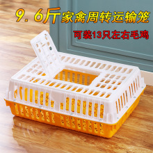 塑料运输筐鸡鸭鹅鸽子周转筐加厚成鸡周转箱家禽鸡笼通用养殖筐