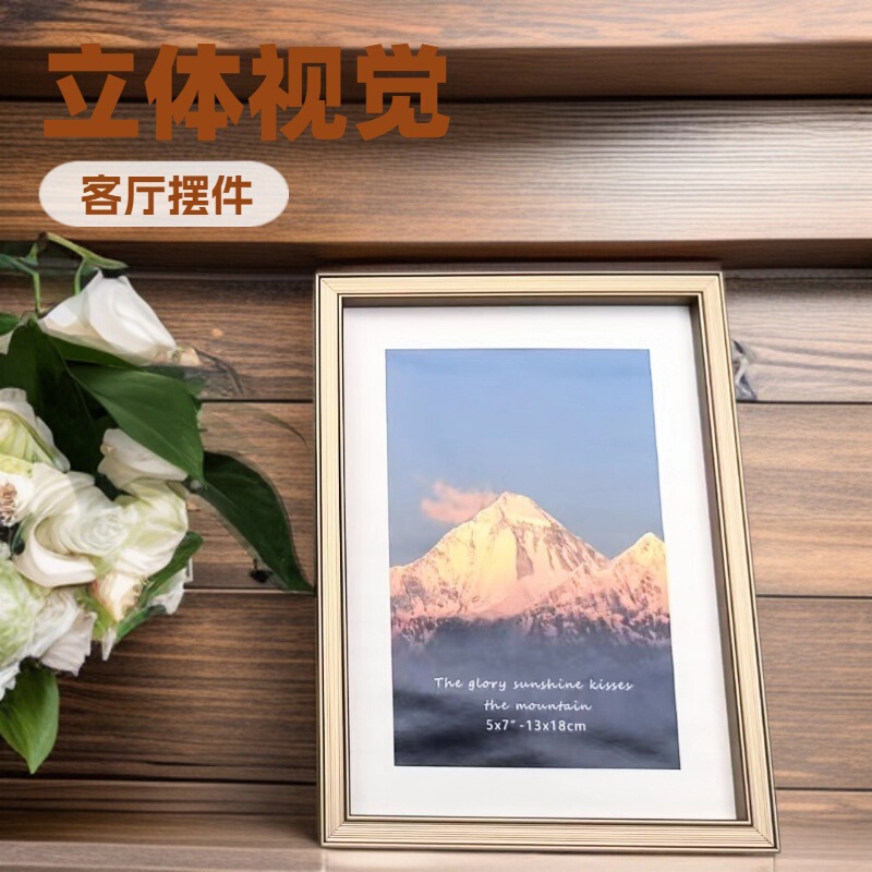 886 Living Room Artistic High-End Aluminum Alloy Welded Photo Frame Display Album Hanging Picture A3 Simple Wholesale