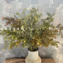 ���������Gֲ ɭϵ��@��֦��c��ˇ�͏d�[�Ż��ܻ�ˇ�쾰�ٻ�